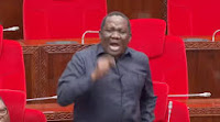 Angry Tanzanian MPs rebuke Kenyans trolling President Suluhu