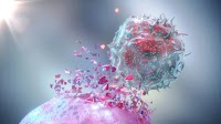 Artiva prices $167M IPO, riding optimism for autoimmune cell therapy