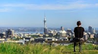 New Zealand Dollar is Dropping, Despite Genuine Good Economic News