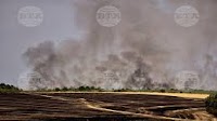Serbia Allocates EUR 3 Mln in Emergency Aid after Devastating Wildfires