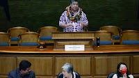 David Shapiro: Self-interest defines session for brazen Hawaii legislators