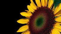Earth Day 2025 - Celebrating our commitment to UN SDG 13: Climate Action – Insights – News, Deals & Insights