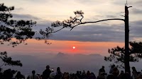 Tourists return as Phu Kradueng mountain reopens