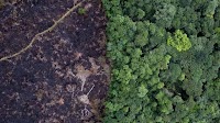 Press Release | Governments agree on the way forward to mobilise the resources needed to protect biodiversity for people and planet