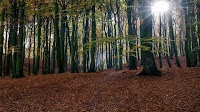 Croatian ministry approves grants for four environmental projects