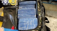 More than $80m worth of cocaine uncovered in shipping container