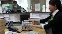Vietnamese currency to appreciate despite forex fluctuations