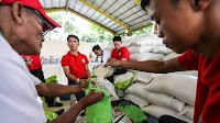 Agri dept preparing for wider rollout of P20 per kilo rice