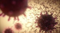 Four lessons COVID taught us about the immune system