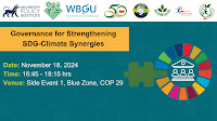 COP 29 Side Event: Governance for Strengthening SDG-Climate Synergies