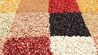Better heating method makes legumes easier to digest