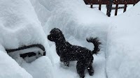 Lake effect snow (finally!) starts winding down in Central NY