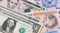 Why shilling’s rally is set to continue