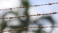 Spit hoods to be used on Northern Territory children again as ban ends, police chief confirms