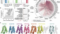 A ubiquitous disordered protein interaction module orchestrates transcription elongation