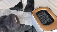 I work from home without the heating on and these are my five holy grail products to stay warm