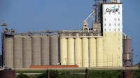 Cargill unveils PlantEver plant-based brand for Chinese consumers, expands B2B offering