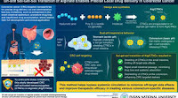 Pusan National University Researchers Develop Self-Protecting Nanoparticles for Effective Treatment of Colorectal Cancer