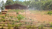 Rural women in Rwanda use solar-powered irrigation for better production with UN agencies' support