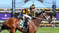 Joliestar, Briasa fight out favouritism for TJ Smith Stakes