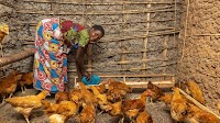 How income diversification is impacting refugee household