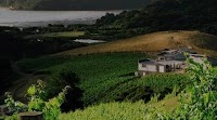 The Most Expensive New Zealand Wines of 2024