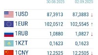 The euro rose, the ruble fell. Exchange rates of the National Bank of the Kyrgyz Republic as of September 2