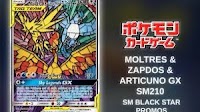 [Pokémon TCG] Moltres & Zapdos & Articuno GX (SM Black Star Promos 210) [Release Date/Price/Where To Buy]
