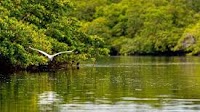 Climate Fund approves BRL 11.2 billion in investments for 2025 — Secretaria de Comunicação Social