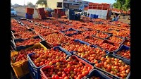 Household budgets hit as tomato, onion prices surge