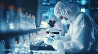 CNPq to invest BRL 215 million in international scientific cooperation scholarships, projects