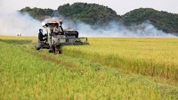 Vietnamese rice attracts Japanese consumers