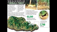 TTD camera traps capture rare fauna in Seshachalam