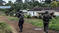 Cameroon Police Say Civilian Attacks on Police Increasing
