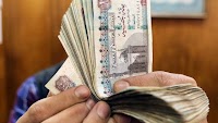 Egyptian pound has lost half of its value since March