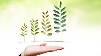 Islamic Insurance Company: Increase in profits in 2020