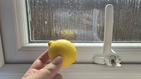 Households told to shut windows overnight and rub lemons on windowsill