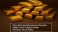 Pan African Resources Shows Expansion, Solid Earnings and Dividend, PAN Share Price JSE Up 20%