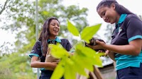 Finland contributes EUR 2 million to UNDP, supporting global sustainable development