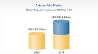 Aviation MRO Industry Analysis Report 2025-2034: Predictive Maintenance Revolutionizes Aviation MRO with Digital Platforms and AR Technologies