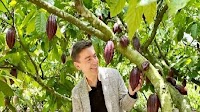 Vietnam's cocoa industry revives thanks to EU’s support in applying circular economy