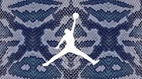 Slither Into Style with the Must Have "Year of the Snake" Jordans Dropping in 2025
