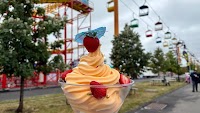 10 outrageous foods to try at the fair (Good Morning CNY for Aug. 25)