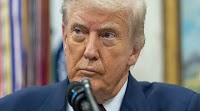What Trump's 50% tariff means for stock market investors; should Nifty bulls worry?