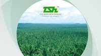 TSH Resources announces Kelvin Tan as executive chairman, managing director to step down