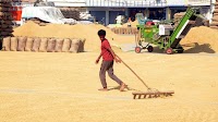 Rice sent from Punjab to Arunachal, Nagaland ‘unfit for consumption’