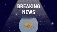 One Click to Cybersecurity – Launch the Phish Alert Button Now!