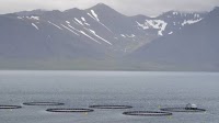 Parliament Approves ISK 2.2 Billion for Aquaculture Oversight