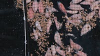 Tasmanian salmon industry grapples with mass die-off