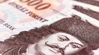 USD/HUF: Forint Hovers Close To 2 Week High
